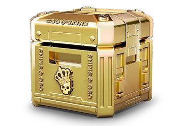 Gold Case CS2 case
