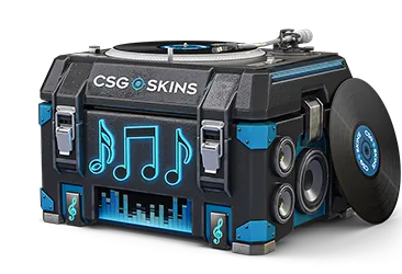 Music Case CS2 case