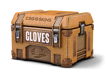 Gloves Case CS2 case