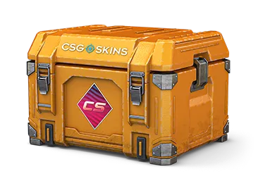 CS Fever Case CS2 case