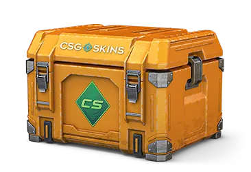 Gallery Case CS2 case
