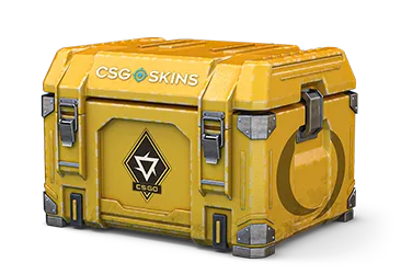 Revolution Case CS2 case