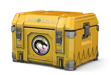 Recoil Case CS2 case