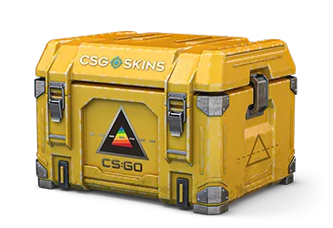 Prisma 2 Case CS2 case