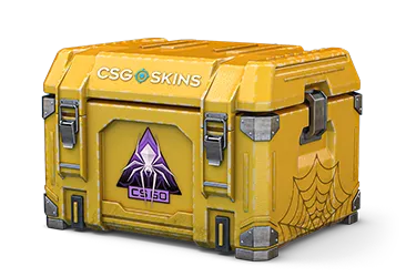 Shattered Web Case CS2 case