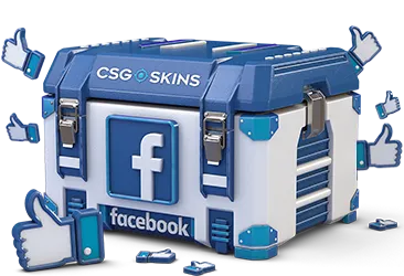 Facebook Case CS2 case