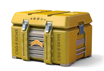 Low Case CS2 case