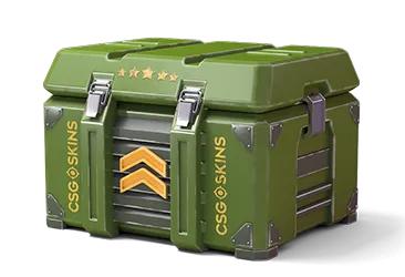 Indirect Case CS2 case