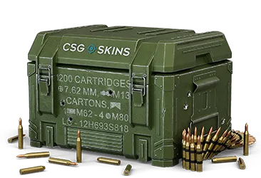 Ammo Case CS2 case
