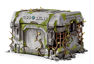 Ruined Case CS2 case