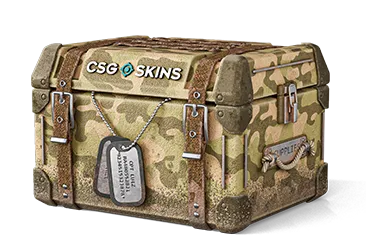 Military Case CS2 case