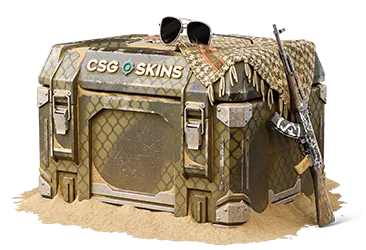 Sandstorm Case CS2 case