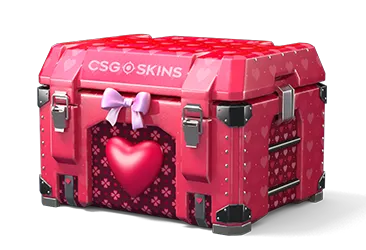 Lovely Case CS2 case