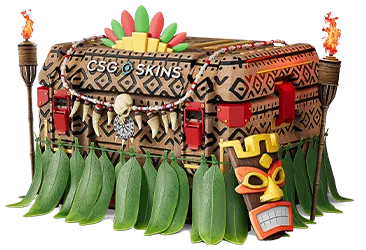 Tribal Case CS2 case