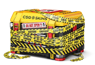 Danger Case CS2 case
