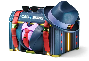 Elegant Case CS2 case