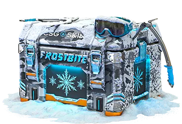 Frostbite Case CS2 case