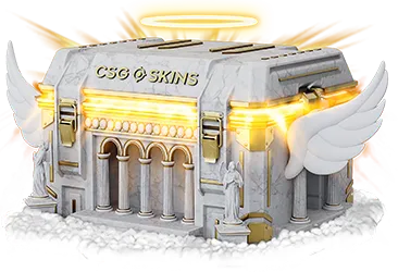 Divine Case CS2 case