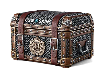Medieval Case CS2 case